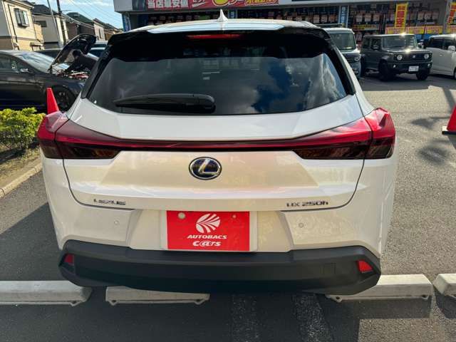 Lexus UX 2021-12 191737-4