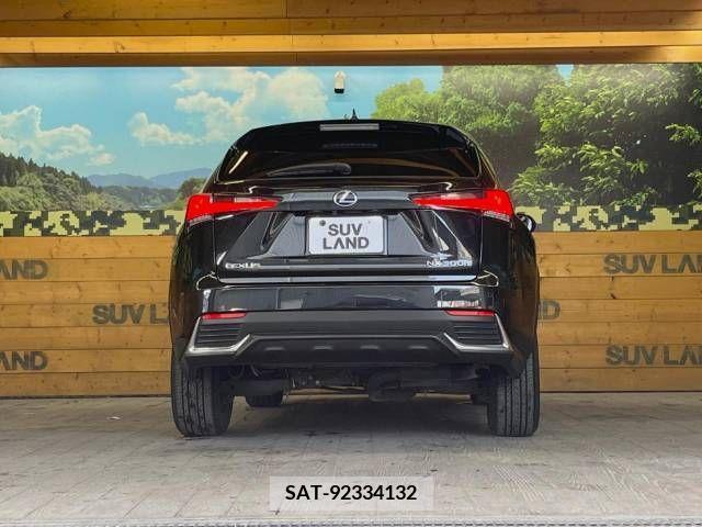 Lexus NX 2018-01 275705-15