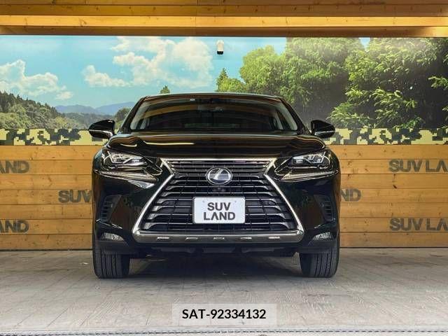 Lexus NX 2018-01 275705-14
