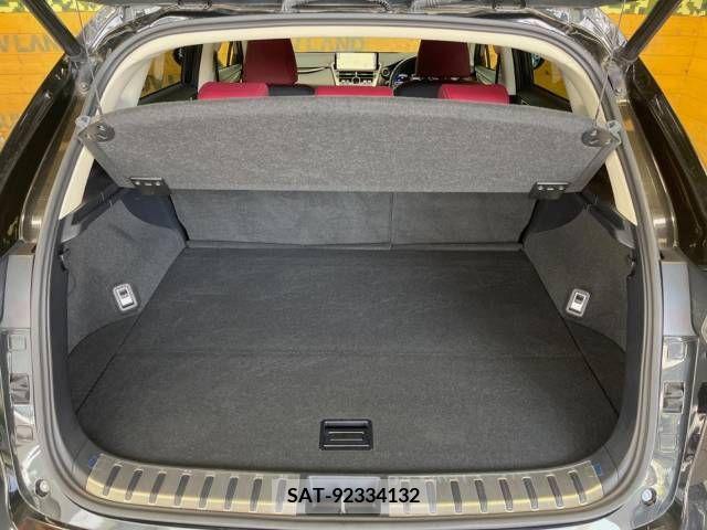 Lexus NX 2018-01 275705-11