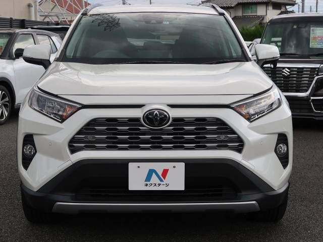 Toyota RAV4 2019-05 8707-16