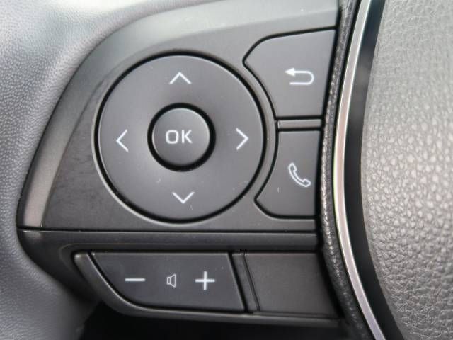 Toyota RAV4 2019-05 8707-9