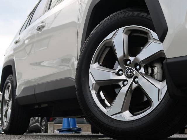 Toyota RAV4 2019-05 8707-15