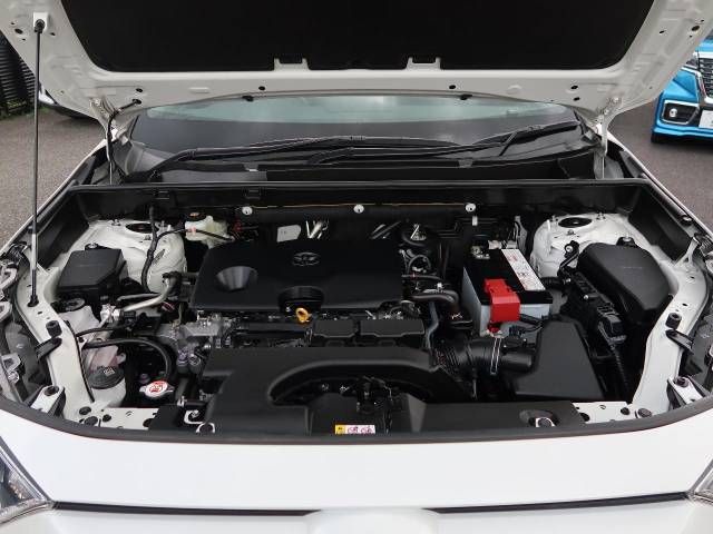 Toyota RAV4 2019-05 8707-18