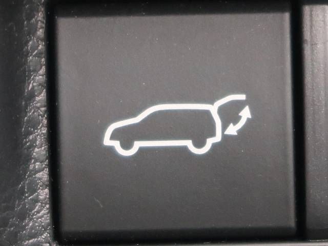 Toyota RAV4 2019-05 8707-8