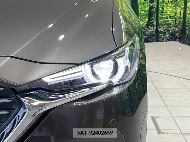 Mazda CX-8 2020-09 390272-13