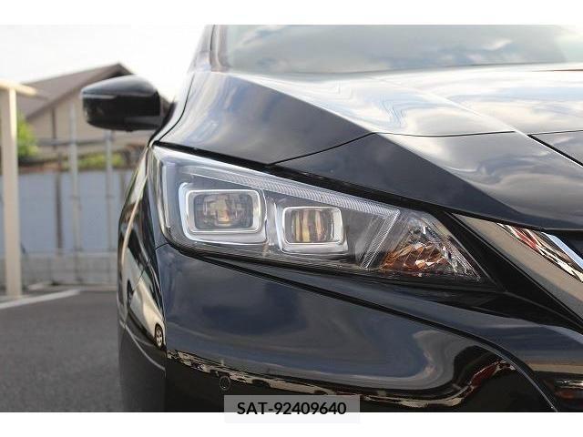 Nissan LEAF 2019-02 367081-10