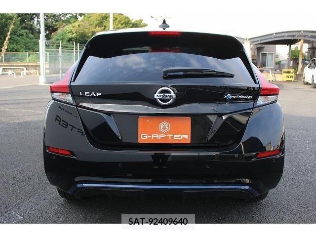 Nissan LEAF 2019-02 367081-8