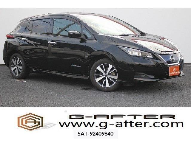 Nissan LEAF 2019-02 367081-0