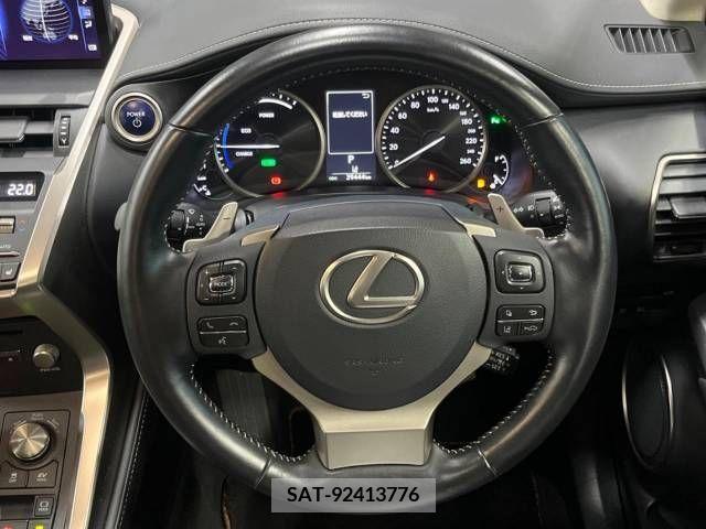 Lexus NX 2020-02 388379-13