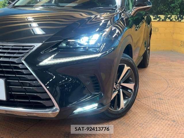 Lexus NX 2020-02 388379-11