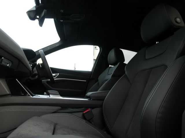 Audi E-TRON 2020-12 4045-8