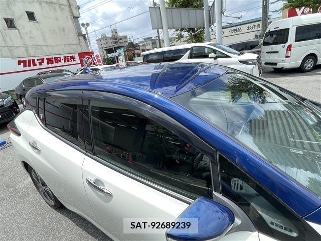 Nissan LEAF 2020-02 324806-5