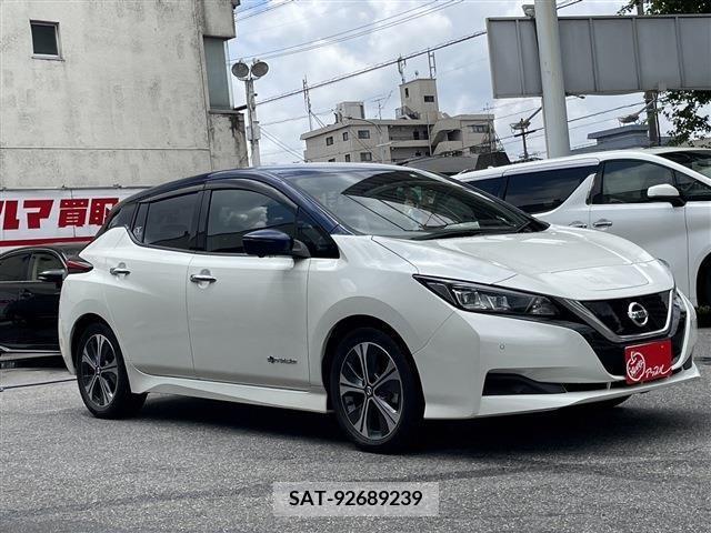 Nissan LEAF 2020-02 324806-2