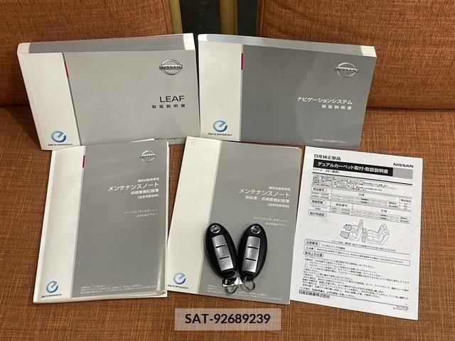 Nissan LEAF 2020-02 324806-19