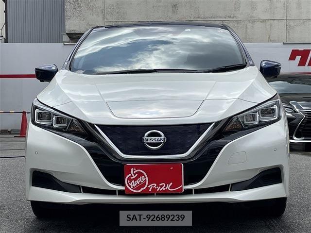 Nissan LEAF 2020-02 324806-1