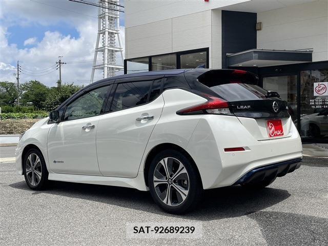 Nissan LEAF 2020-02 324806-4