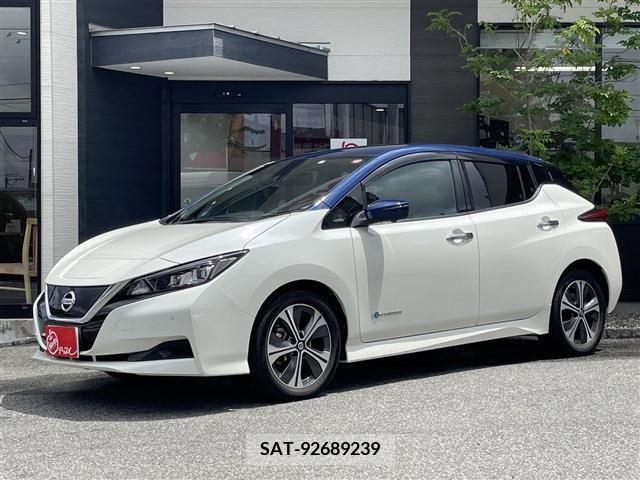 Nissan LEAF 2020-02 324806-0
