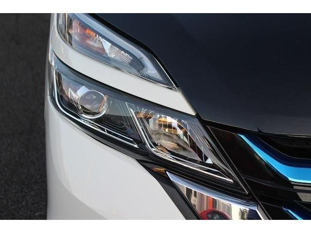 Nissan SERENA 2018-08 20805-9