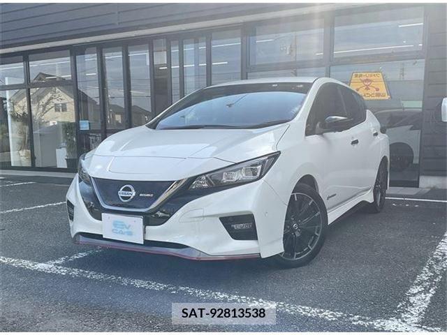 Nissan LEAF 2019-01 236406-1