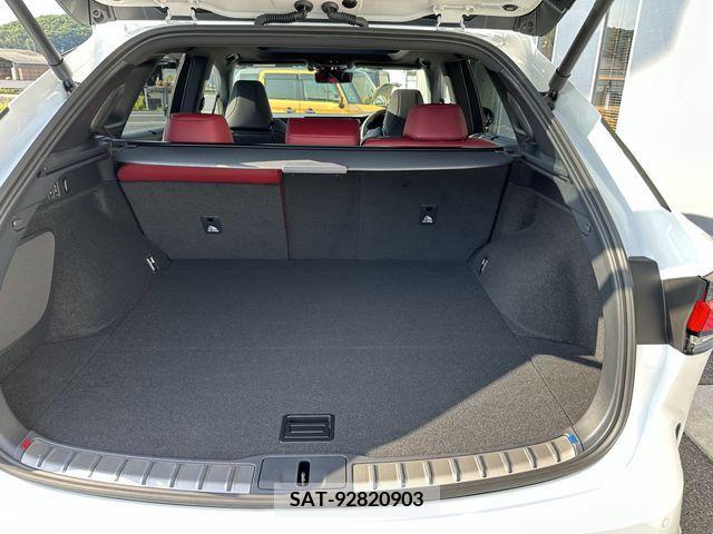 Lexus RX 2024-06 363062-19