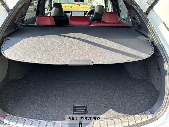 Lexus RX 2024-06 363062-20