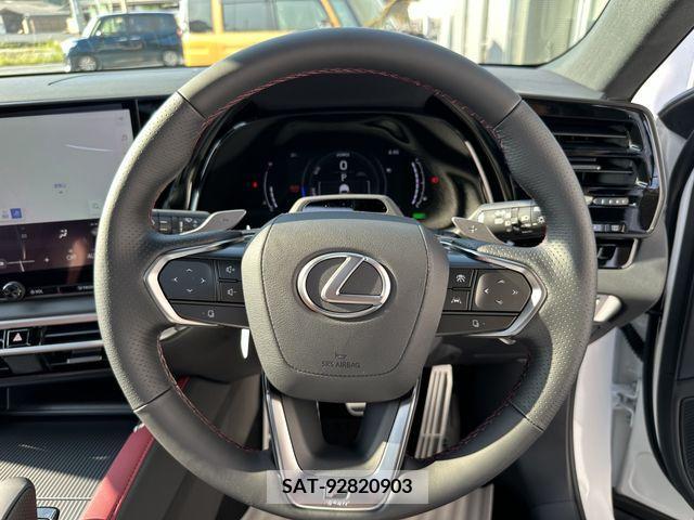 Lexus RX 2024-06 363062-7