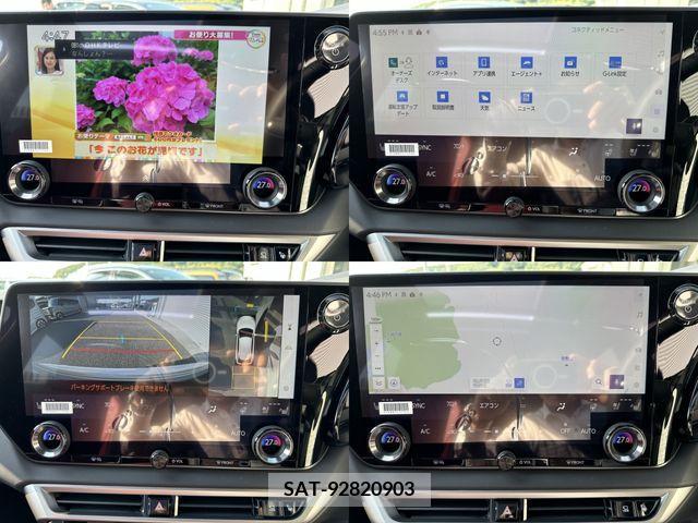 Lexus RX 2024-06 363062-8