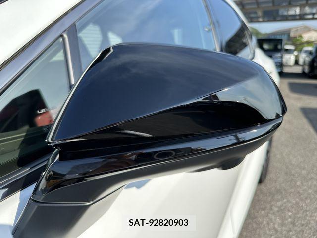 Lexus RX 2024-06 363062-28