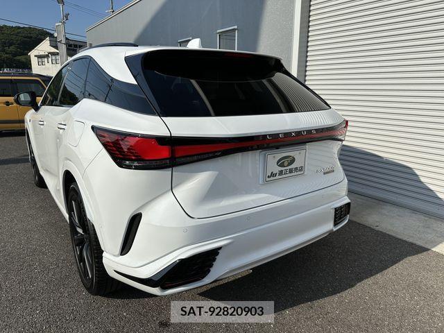 Lexus RX 2024-06 363062-2