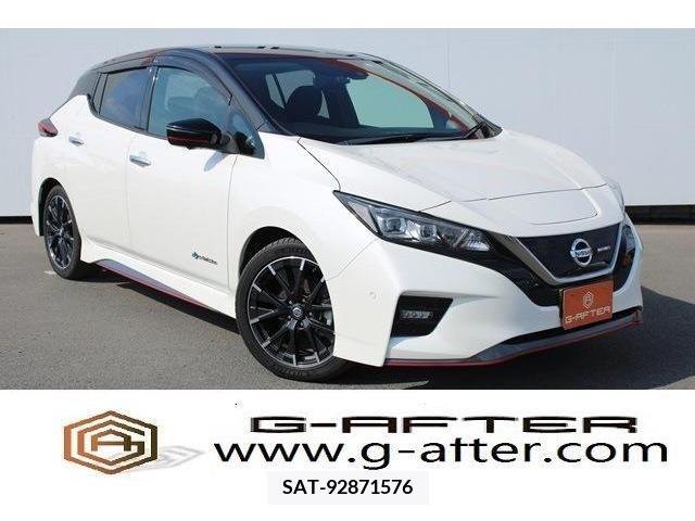 Nissan LEAF 2019-02 297892-0