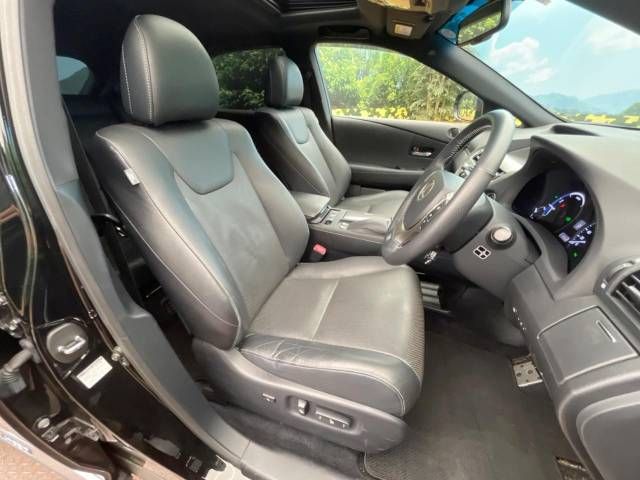 Lexus RX 2013-09 181395-8