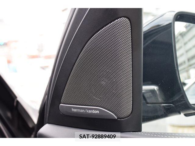 Bmw X7 2021-11 209593-19