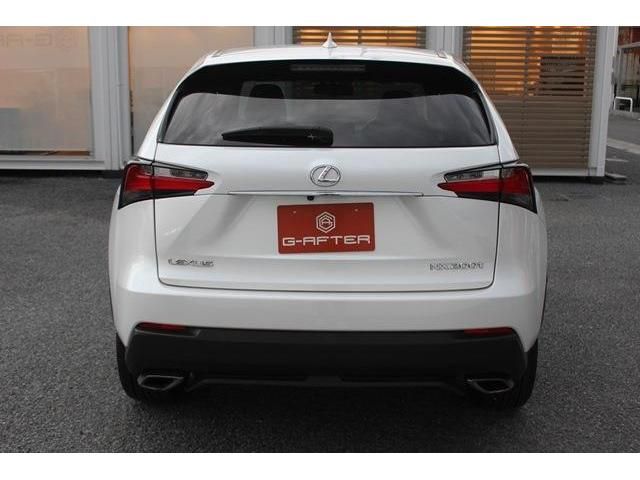 Lexus NX 2015-04 15191-7