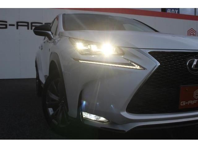 Lexus NX 2015-04 15191-10