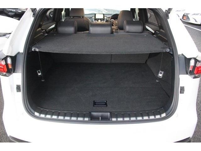 Lexus NX 2015-04 15191-16