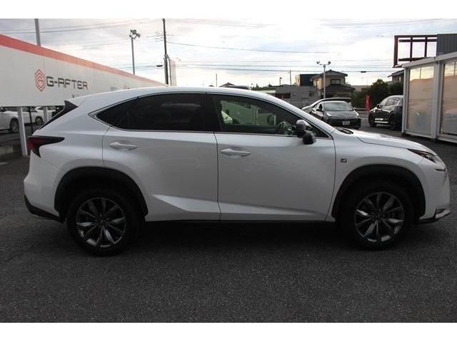 Lexus NX 2015-04 15191-8