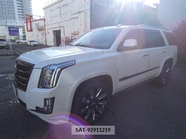Cadillac ESCALADE 2019-10 206756-9
