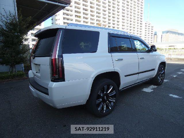 Cadillac ESCALADE 2019-10 206756-6