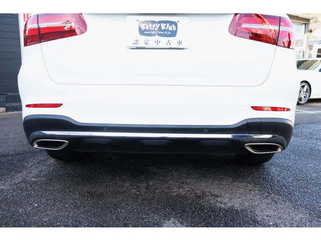 Mercedes Benz GLC-CLASS 2017-01 192496-19