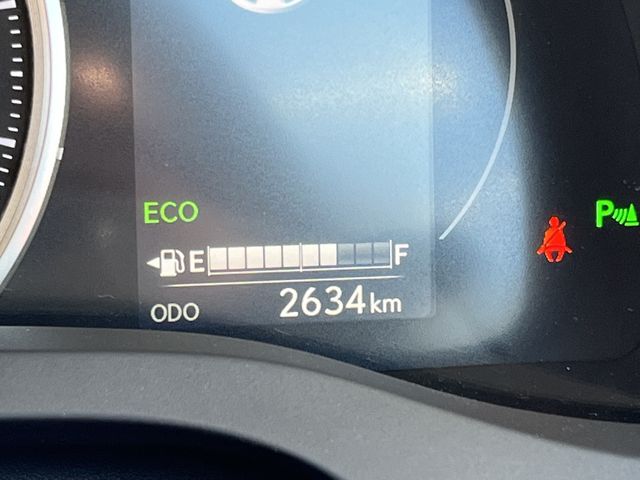 Lexus CT 2019-07 193708-26