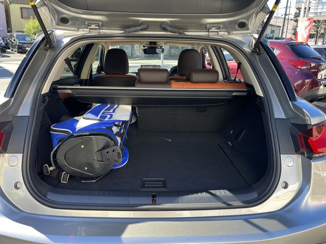 Lexus CT 2019-07 193708-11