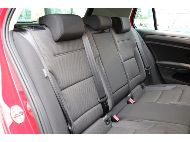 VolksWagen GOLF 2019-02 3339-10