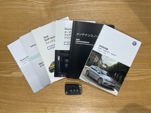 VolksWagen GOLF 2019-02 3339-19