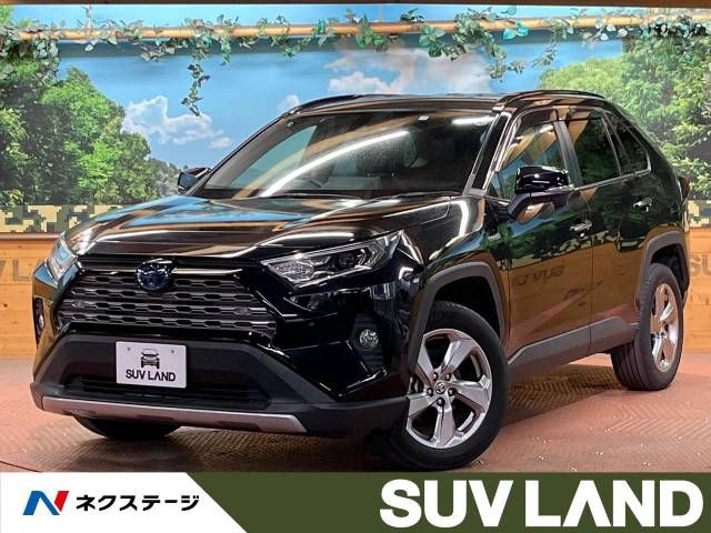 Toyota RAV4 2019-12 190681-0