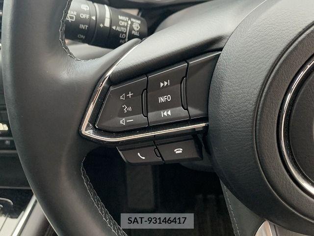 Mazda CX-8 2019-11 308564-13