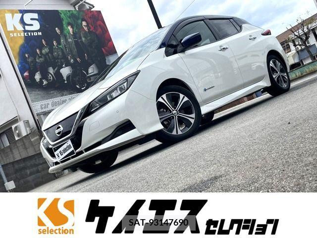 Nissan LEAF 2019-03 246115-0