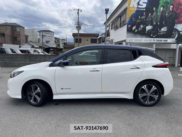 Nissan LEAF 2019-03 246115-4