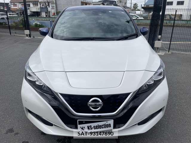 Nissan LEAF 2019-03 246115-2