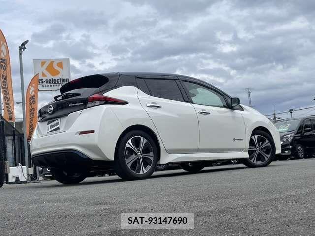 Nissan LEAF 2019-03 246115-1